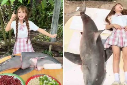 Se conoce que la persona que le vendió el animal fue detenida