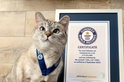 Nala, junto al certificado emitido por los Récords Guinness por la gran cantidad de seguidores que tiene.