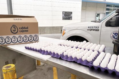 Los últimos tres meses ha habido mayor cantidad de incautaciones de este alimento.