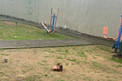 La cabeza fue hallada en un parque, cerca de un área de juegos.