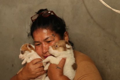 Catalina se dedicaba a recoger perros de la calle, ellos le hacían compañía en su casa, en el Guasmo sur.