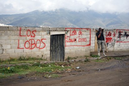 En las paredes de los cerramientos colocaron sus nombres y grafitis de Los Lobos, una peligrosa banda delictiva.