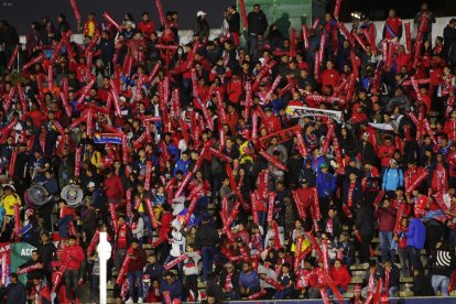 Los hinchas de los puros criollos esperan que el 2023 sea el año para recuperar el protagonismo en Copa Libertadores y LigaPro.