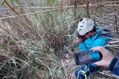 Un guía turístico halló el cuerpo sin vida.