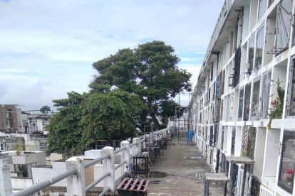 Un ‘despelote’ encontraron en uno de los pasillos del cementerio.