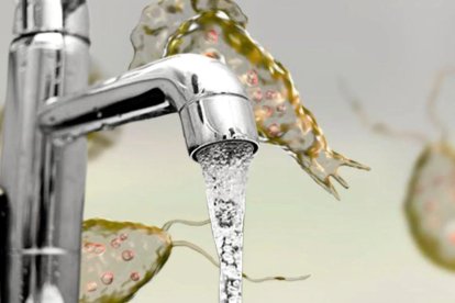 Los autoridades de salud realizan una investigación epidemiológica para comprender las circunstancias específicas de la infección.