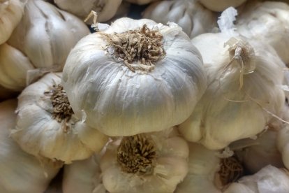 Este producto milenario además de ser usado en las cocinas, tiene beneficios para la salud.