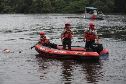 Con ayuda de bomberos, el cuerpo del venezolano Roger Alejandro Salas Méndez fue llevado hasta la orilla.