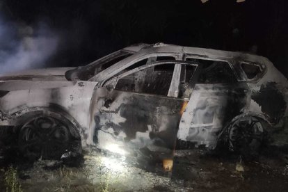 Se desconoce placa y color original, ya que el carro quedó completamente dañado.