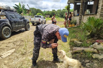 Los animalitos también reciben su dosis de cariño.