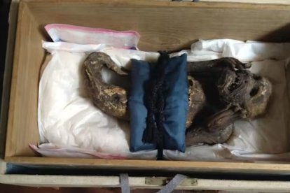 La figurilla 
está hecha con algodón, adornada con espinas y piel 
de pez.