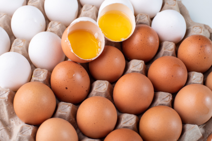 Referencial de cubeta de huevos.