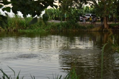 La tragedia ocurrió en un reservorio del barrio Mi Lindo Ecuador, por el kilómetro 11 de la vía Balosa, en Machala.
