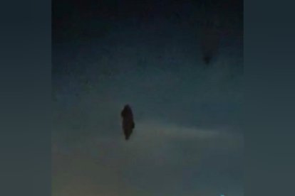 Esta es la imagen que el hombre observó en la carretera.