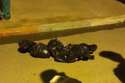 El hallazgo se dio al ingreso de este sector, donde en dos ocasiones anteriores también se han encontrado cráneos.