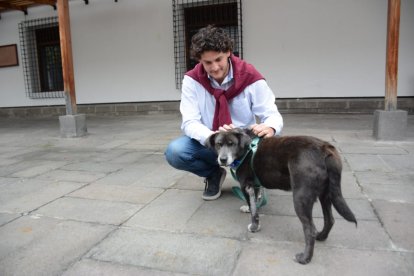 El animal estuvo a cargo, por cuatro años, por trabajadores de Carondelet.