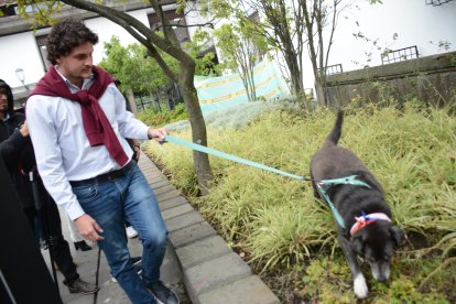 El médico guayaquileño se llevará al perrito a una propiedad en Bolívar, donde hay otros cuatro canes que le harán compañía.
