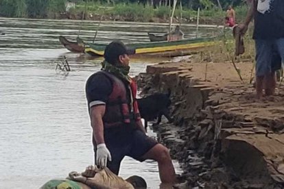 Los tres cuerpos flotaron en distintos afluentes del Babahoyo.