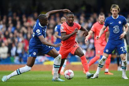 Moisés Caicedo (c) fue clave en el triunfo del Brighton ante el Chelsea.