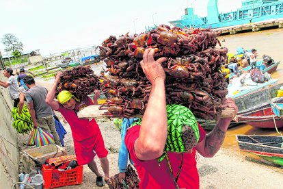 Cangrejeros piden más seguridad para poder continuar ejerciendo sus labores.