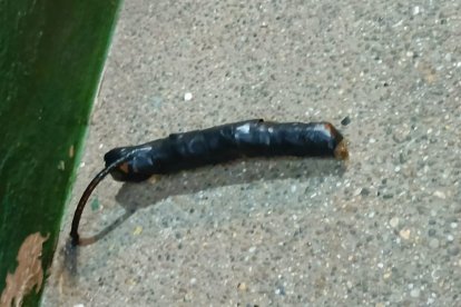 El artefacto fue arrojado durante la madrugada. Varios locales cercanos han cerrado sus puertas por las extorsiones.