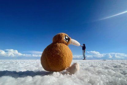 Kimberley y su peluche Kiwi viajan solos. La joven es originaria de Auckland, Nueva Zelanda.