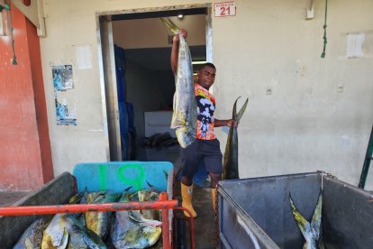 Tras la matanza, las actividades han disminuido en el Puerto Pesquero Artesanal de Esmeraldas.