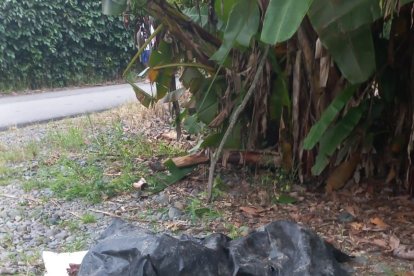 En uno de los sacos se veía la parte inferior de una pierna.