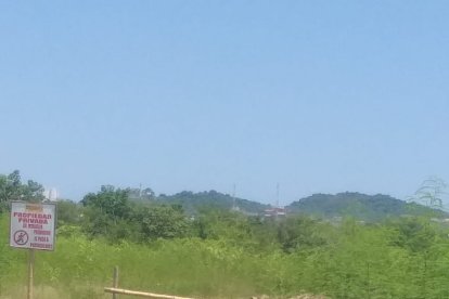 El cuerpo fue encontrado en una zona de matorrales.