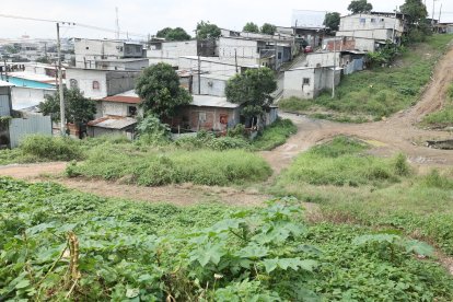 Las cabezas fueron encontradas en una zona llega de maleza, junto a una colina.