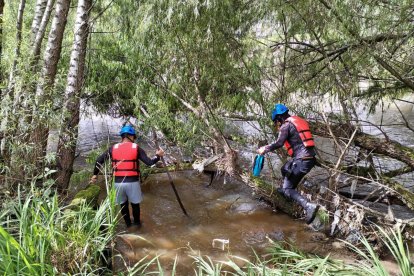 Grupos de bomberos y de agentes de la policía rastrean al joven.