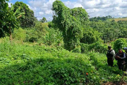 El cuerpo del presunto asaltante fue sacado de entre los montes y llevado a la morgue.