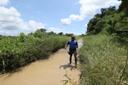 Fueron hallados el jueves en este sector porteño. Policía retiró los restos.