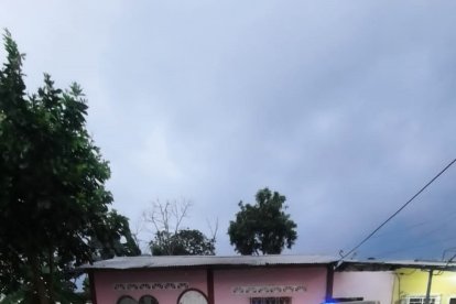 Dos sujetos ingresaron al inmueble y dispararon contra los parientes.