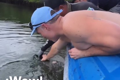 Captura de pantalla del video que generó polémica. Al editarlo se cortó todo el contexto real del mismo.