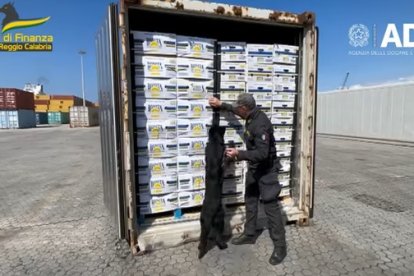 El hallazgo se dio gracias a labores de inteligencia y la participación de un can.