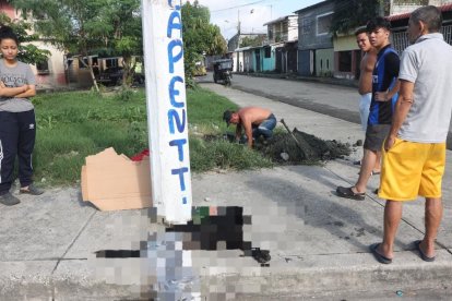 Vecinos cavaron un hueco para enterrar al perrito.