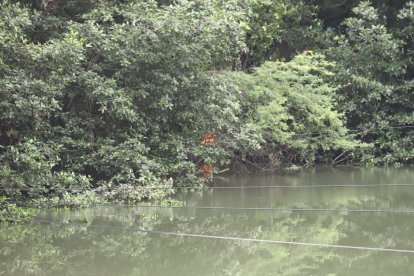 Se reportó fuego en las orillas del estero Salado.