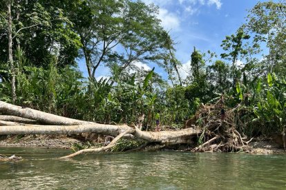 Pese a lo inhóspito que es el camino fronterizo, en lo que va del año esta selva ha sido atravesada por más de 170.000 migrantes.