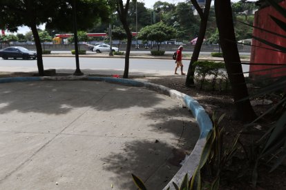 El crimen ocurrió junto al bordillo de una jardinera del sector.