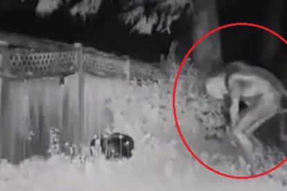 El supuesto alien tenía el torso más grande que el resto de su cuerpo y sus ojos parecían brillar.