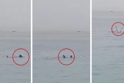 Secuencia del ataque del tiburón  al turista ruso Vladimir Popov.