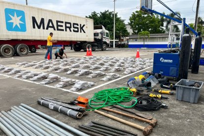 Decomisaron media tonelada de droga a pocos metros donde torturaron y mataron a cuatro personas