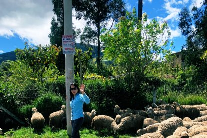 Luisa Gonzáez caminando junto a borregos