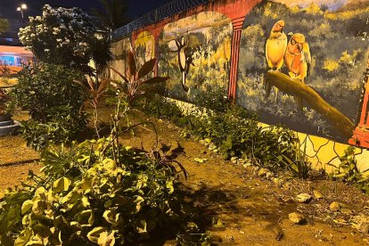 En esta cancha del sur de Guayaquil se registró el asesinato.