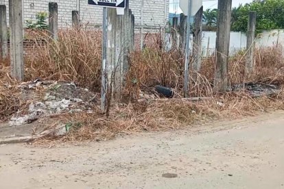 Los restos humanos fueron encontrados entre matorrales.