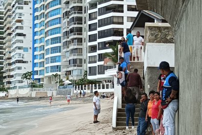 Comerciantes y bañistas observaron con asombro la aparición del cocodrilo.