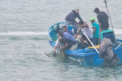 Pescadores de Santa Rosa participaron en la captura.