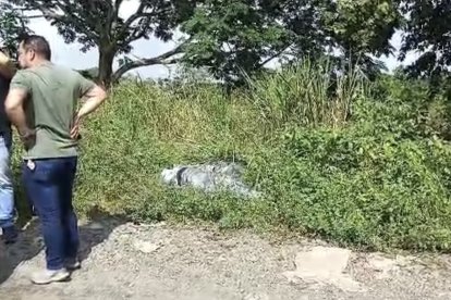 Un motorizado se percató de los bultos y avisó a la policía.