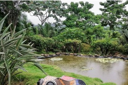 Escultura de anfibio en el Jardín botánico de Guayaquil